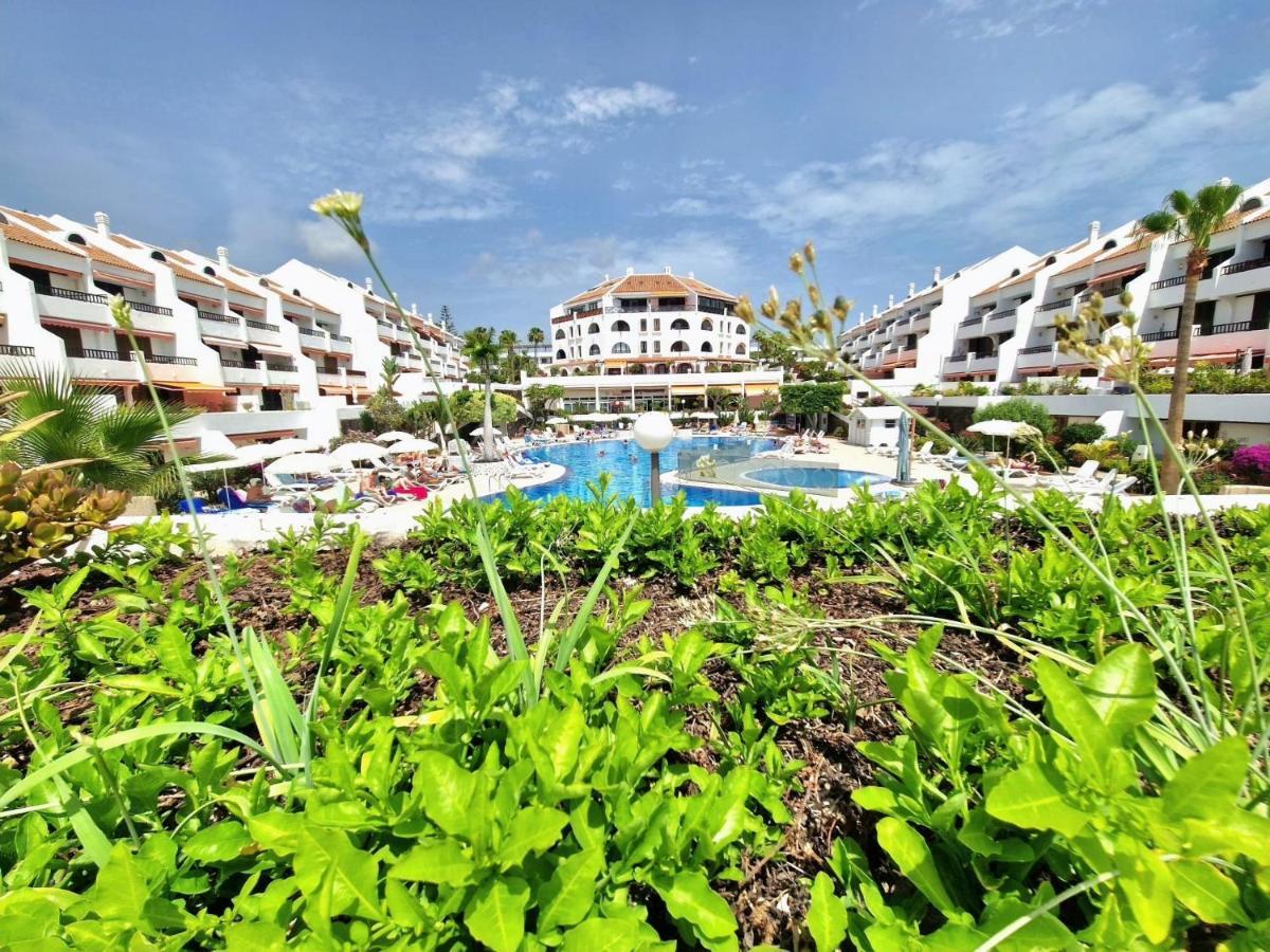 Parque Santiago 1 F-348 By Tenerife Dream * Playa de las Americas (Tenerife)