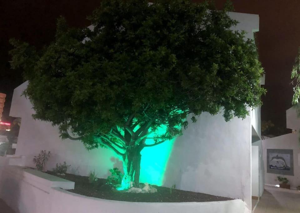 Lucia Garden Con Piscina Climatizada Apartamento