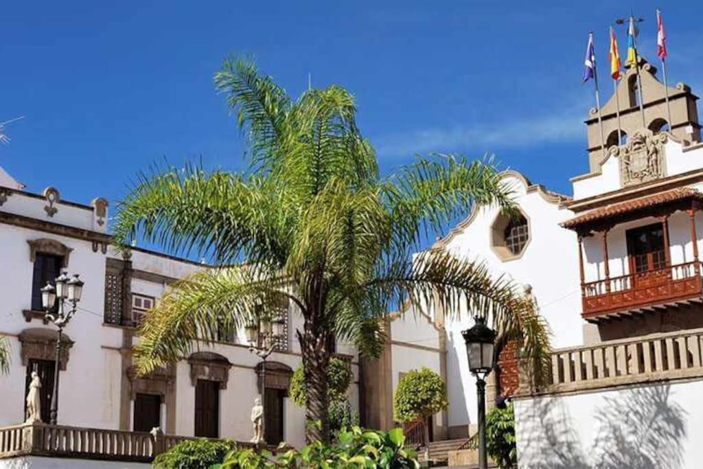 The Palm Rural Beachside Villa Icod De Los Vinos
