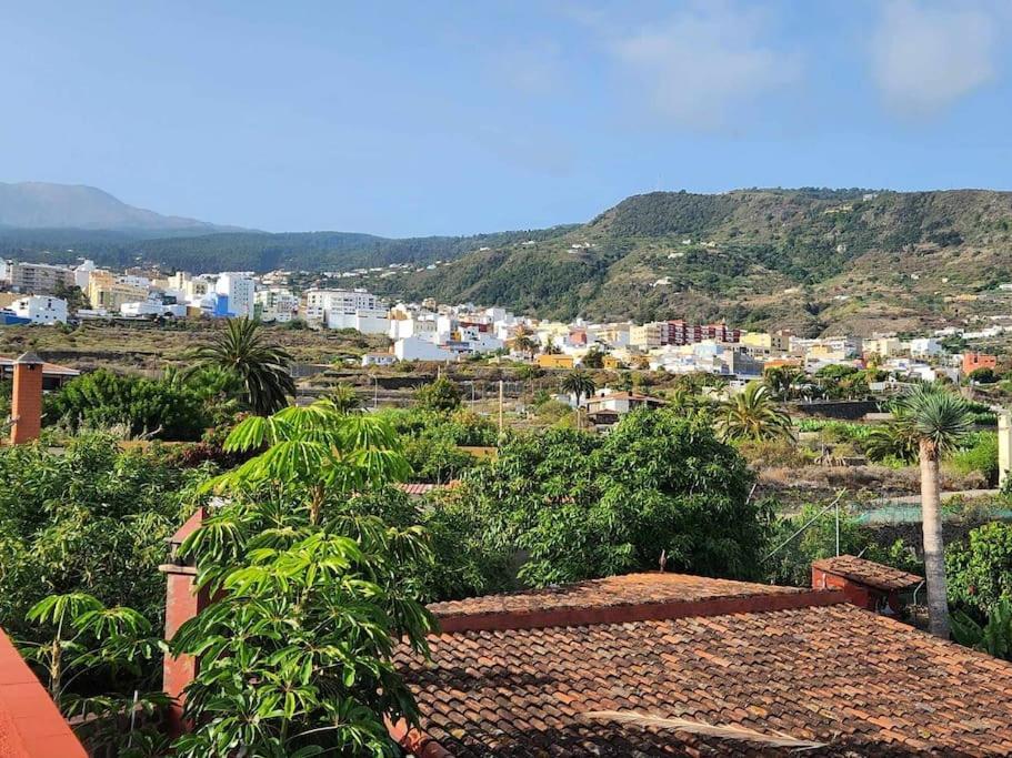 Villa The Palm Rural Beachside
