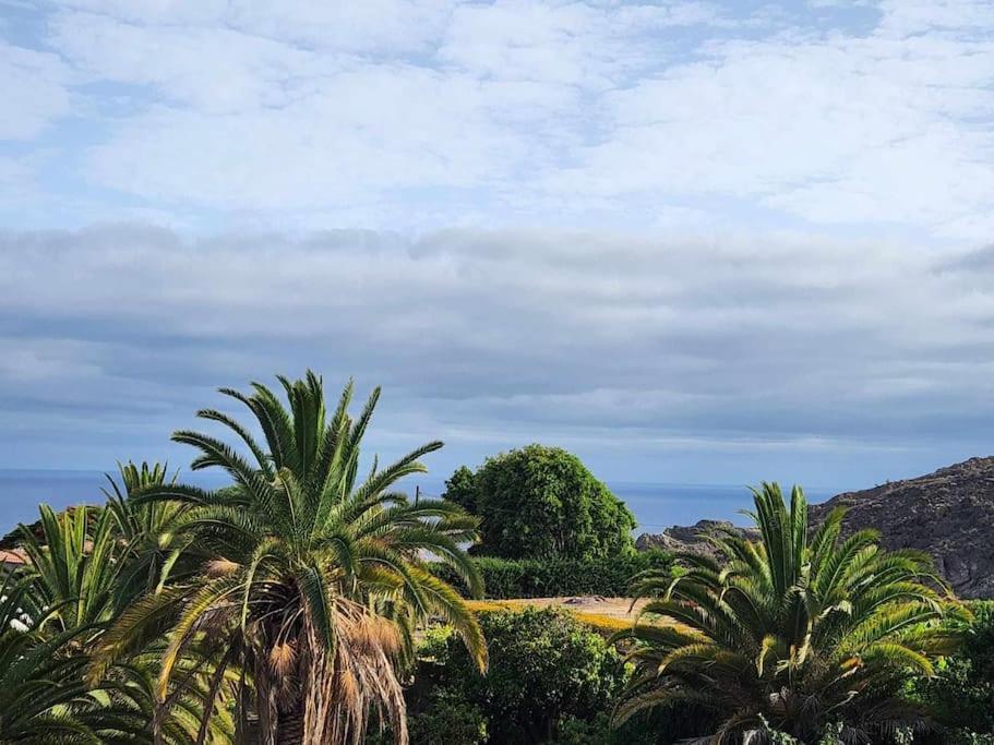 Villa The Palm Rural Beachside Icod De Los Vinos