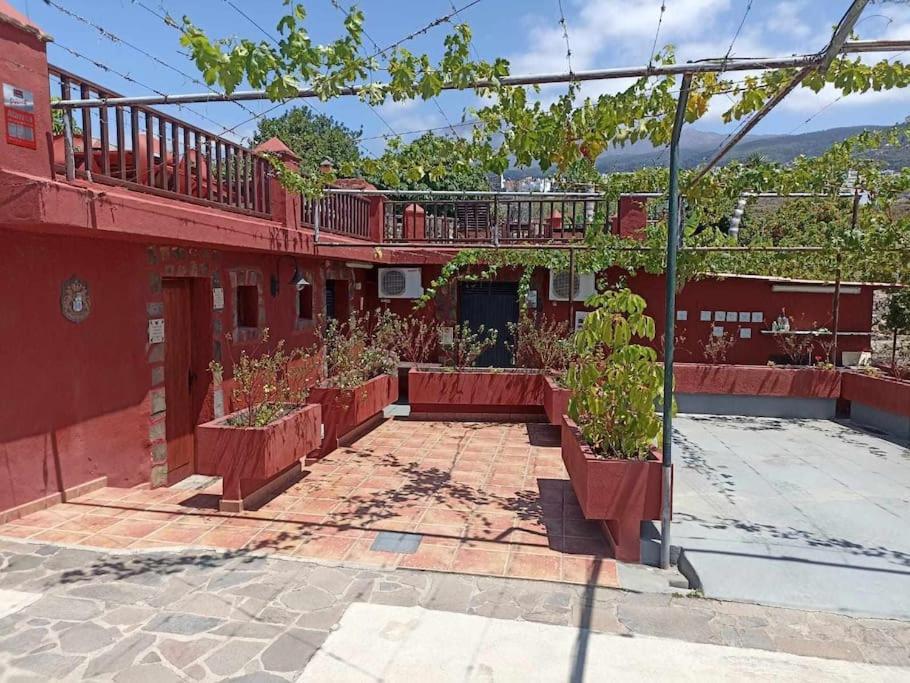Villa The Palm Rural Beachside Icod De Los Vinos