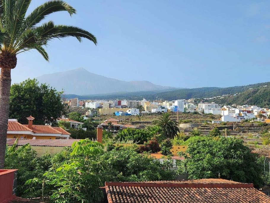 The Palm Rural Beachside