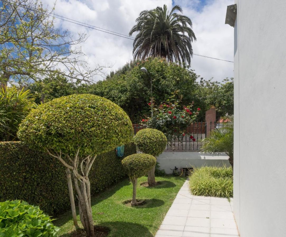 Séjour chez l'habitant Donde Conchita, Cerca Del Aeropuerto Norte La Laguna (Tenerife)