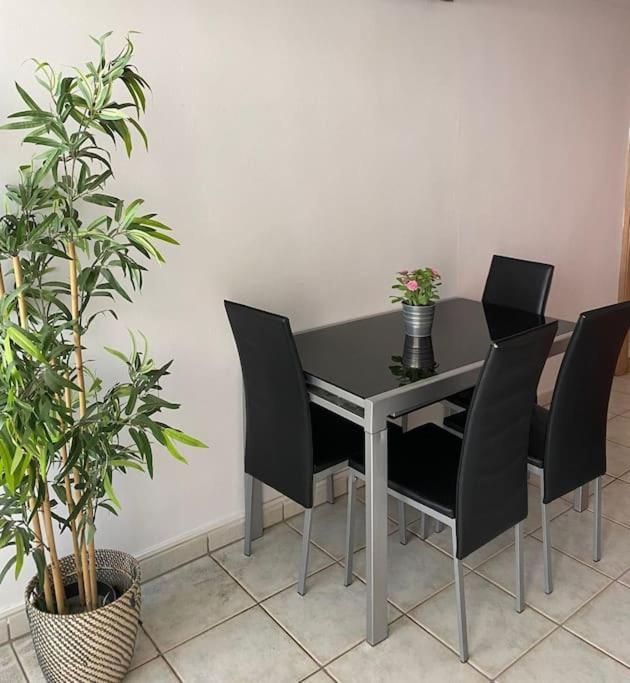 Apartment Loft Surf & Playa Con Wifi Luminoso Ideal Con Mascotas *