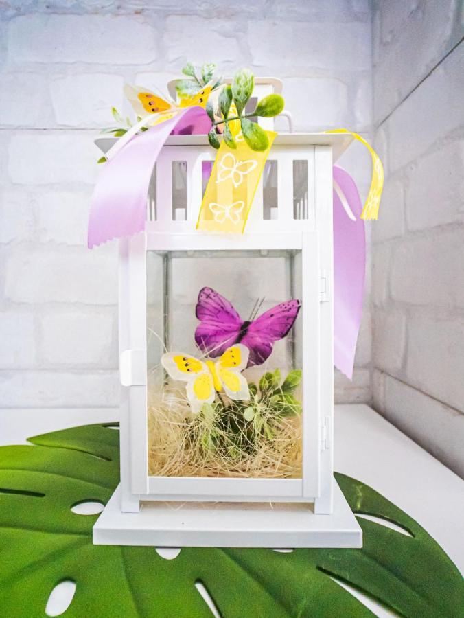 Apartamento Mariposa En Frontera/primavera