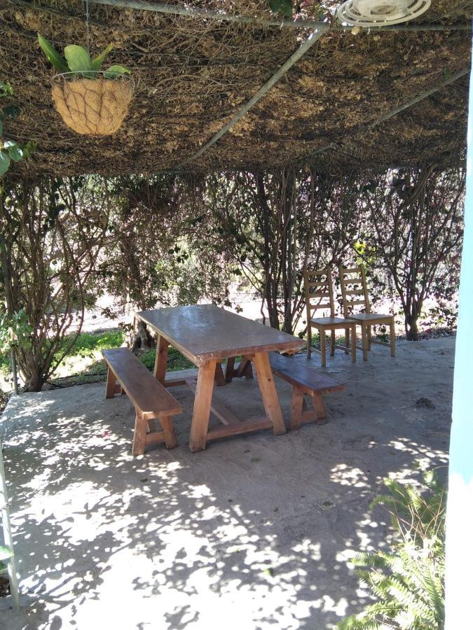 Finca El Arroyo Farm stay Granadilla De Abona