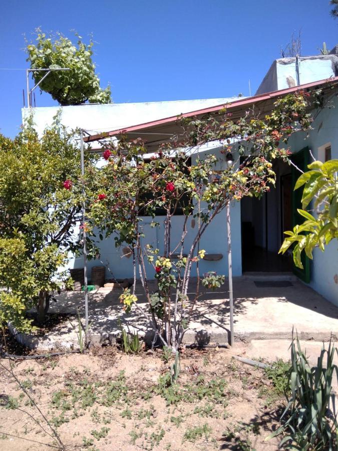 Farm stay Finca El Arroyo *