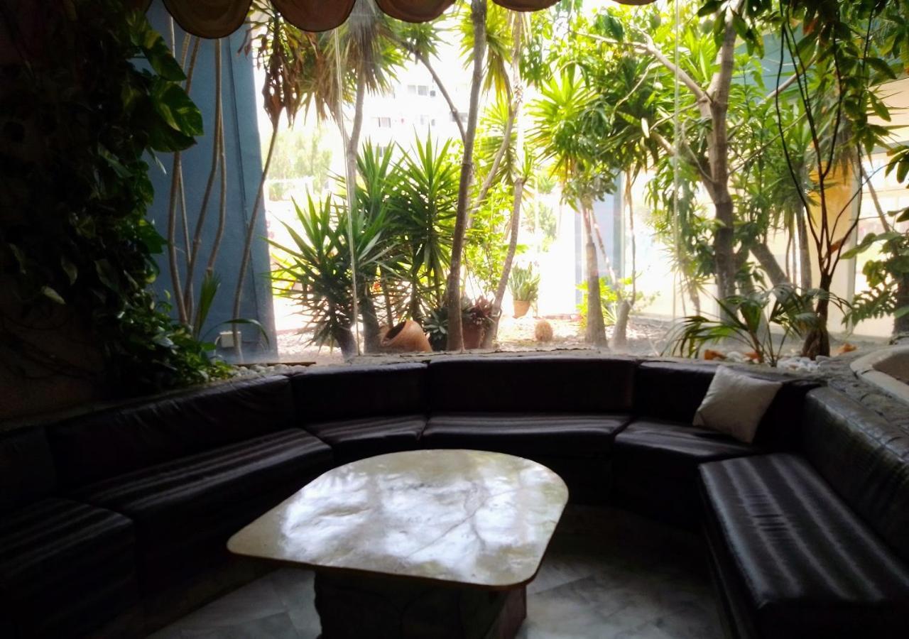 Leon Del Sur Apartment San Miguel de Abona