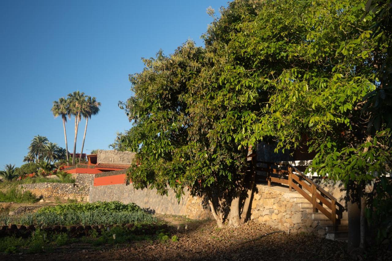 Appartement Pico Los Realejos