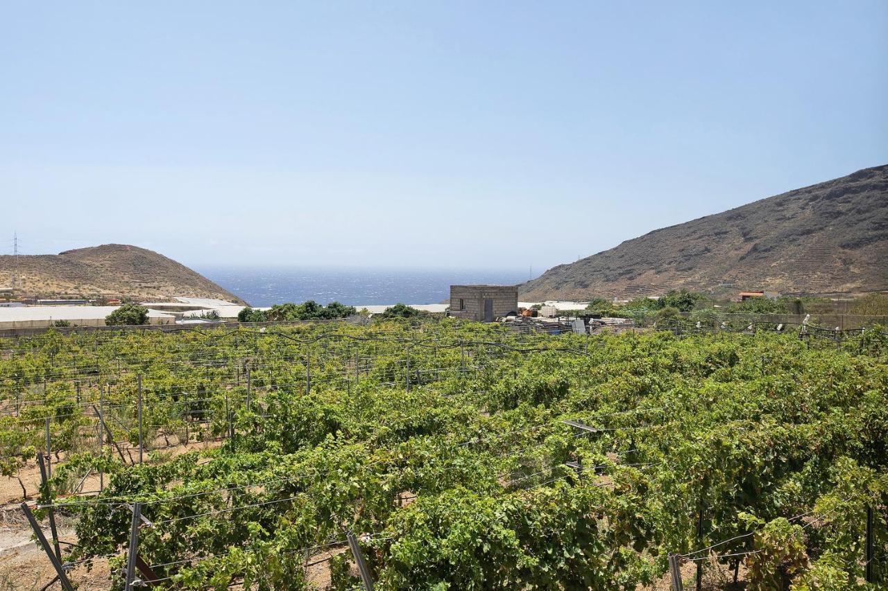 Tres Palmeras * Güimar