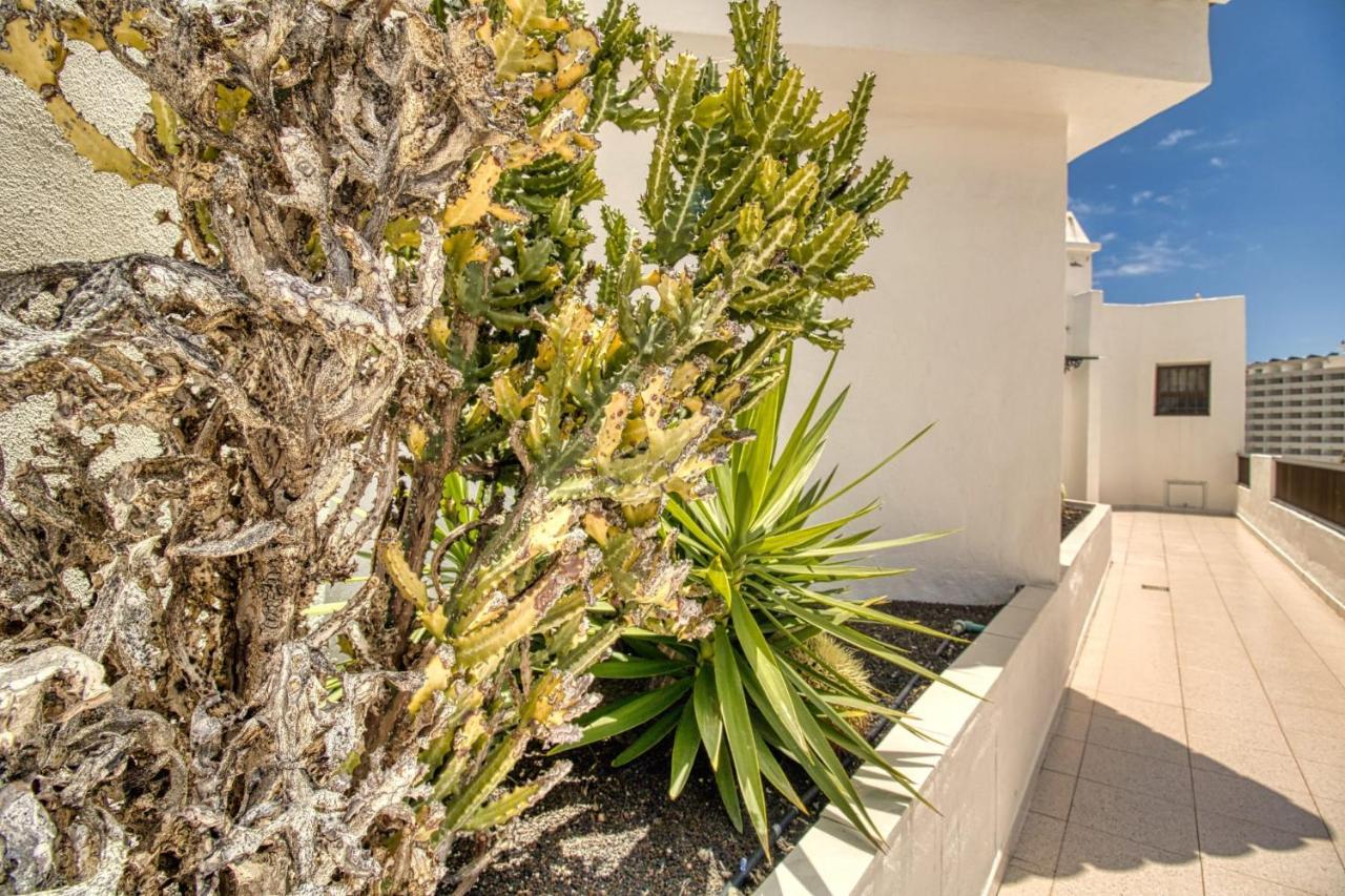 Apartamento Penthouse With Magnificent Ocean Views, Jacuzzi, Pool, Nearby Beach In Tenerife South *