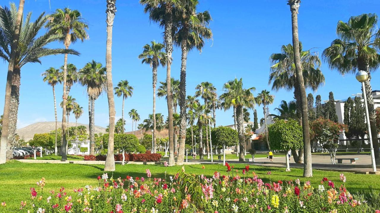 Fresh In Americas, Pe210 Next To The Apartment Arona (Tenerife)