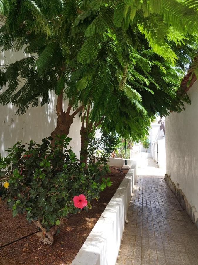 Casa De Maria Luisa Arona (Tenerife)