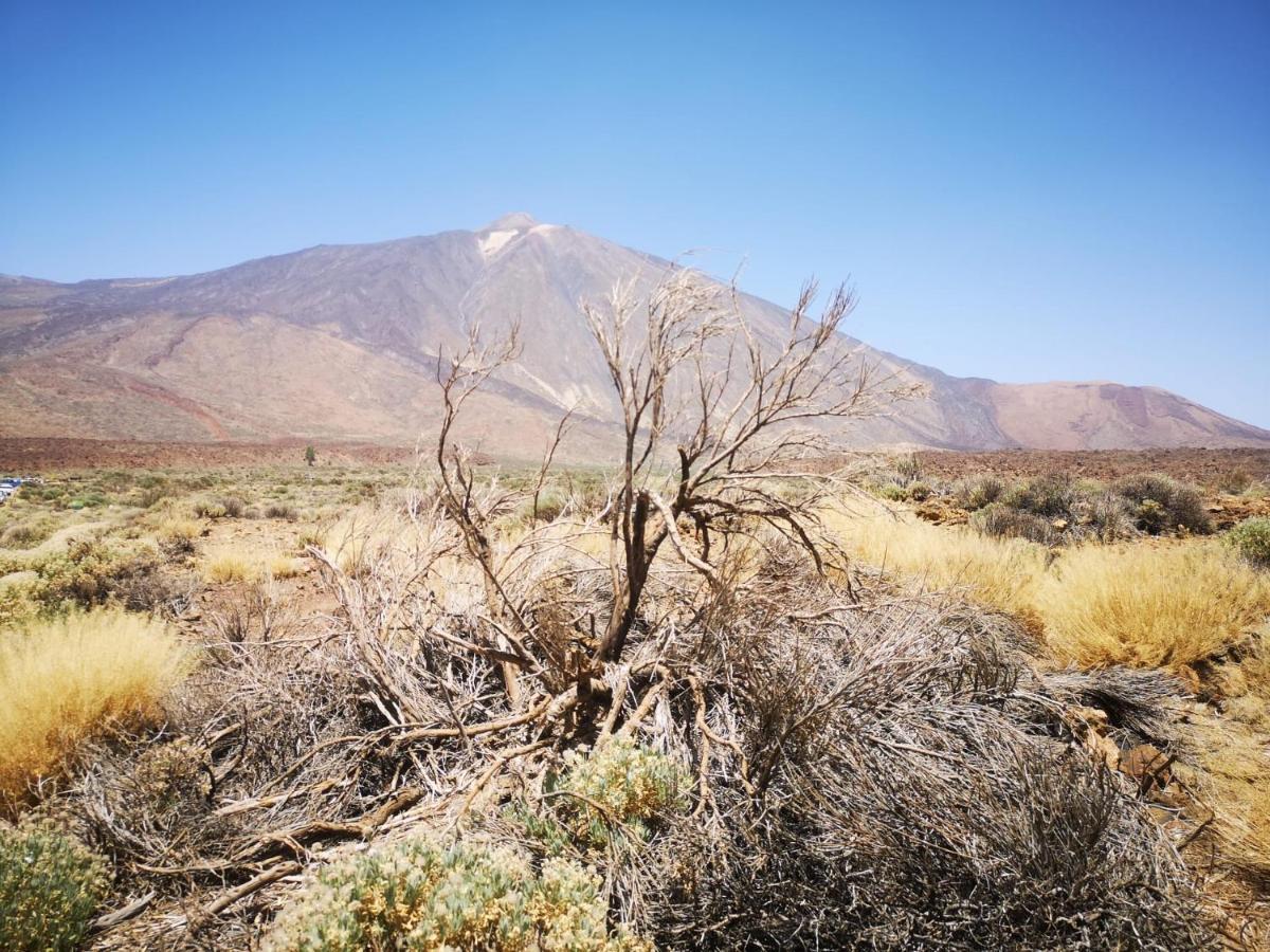 Сasa de vacaciones Casita Canaria *
