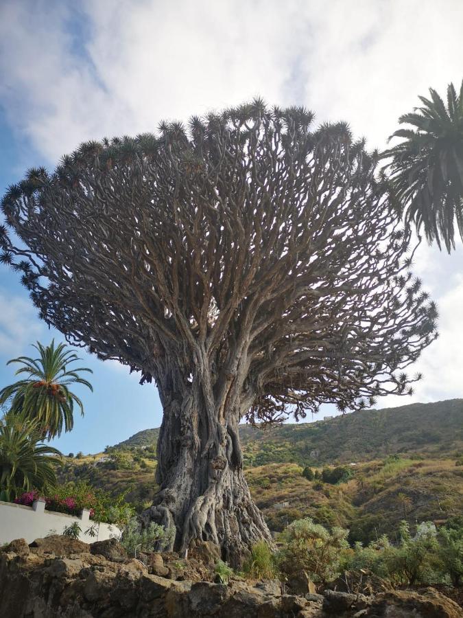 Сasa de vacaciones Casita Canaria *