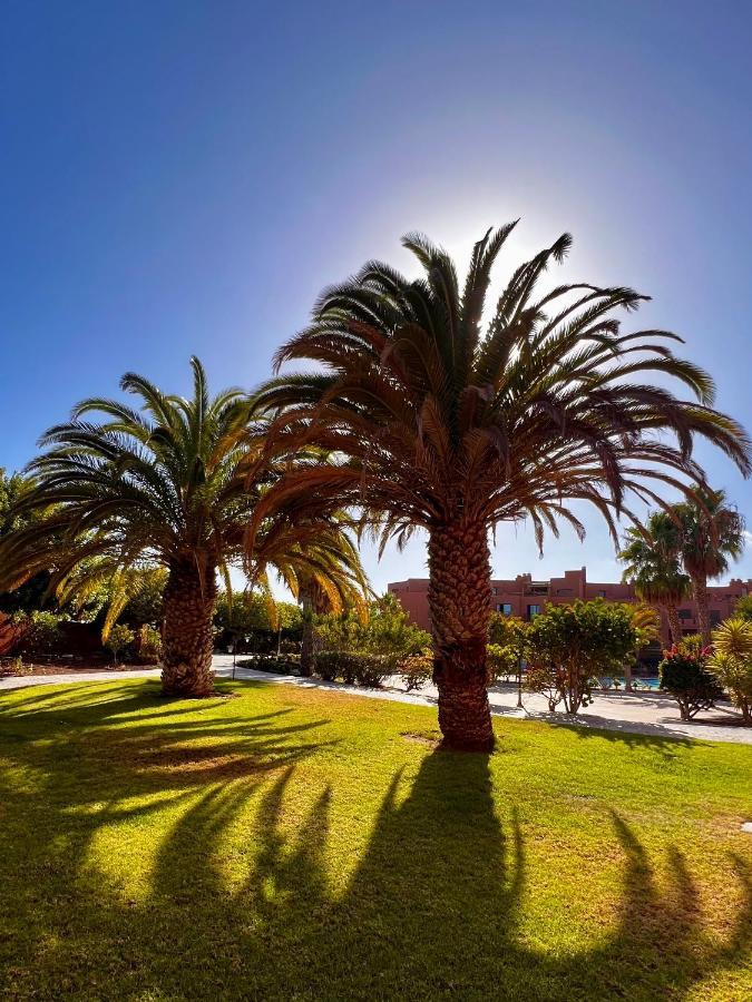 Sunny La Tejita