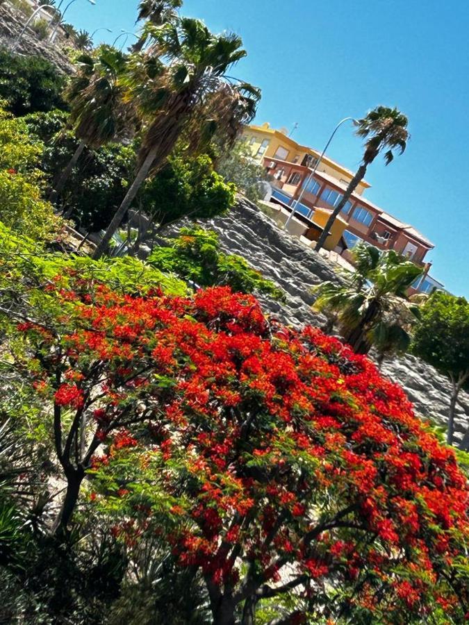 Natali ,luxury 3-levels Large On Tenerife, Ocean View, Private Poo L& Barbecue Area *