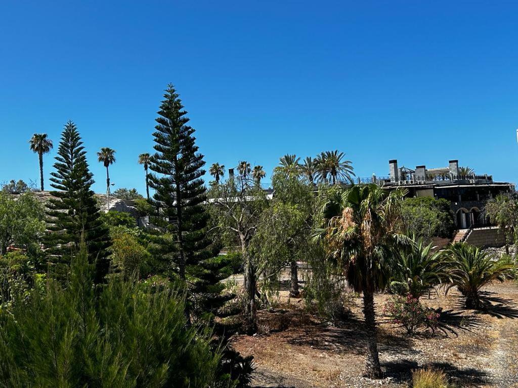 Natali ,luxury 3-levels Large On Tenerife, Ocean View, Private Poo L& Barbecue Area *