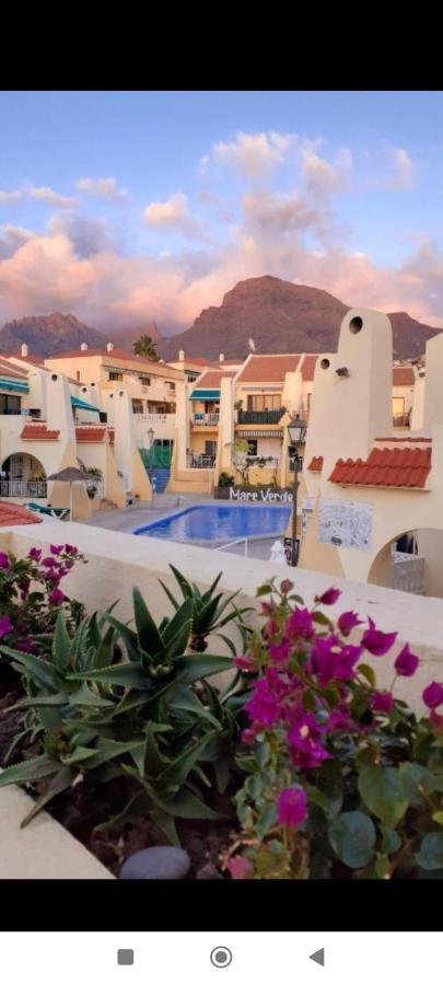 Apartment Mng-apart Studia Mareverde D-15 Costa Adeje (Tenerife)
