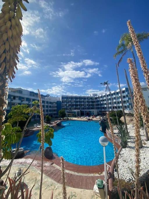Appartement Golf Del Sur *