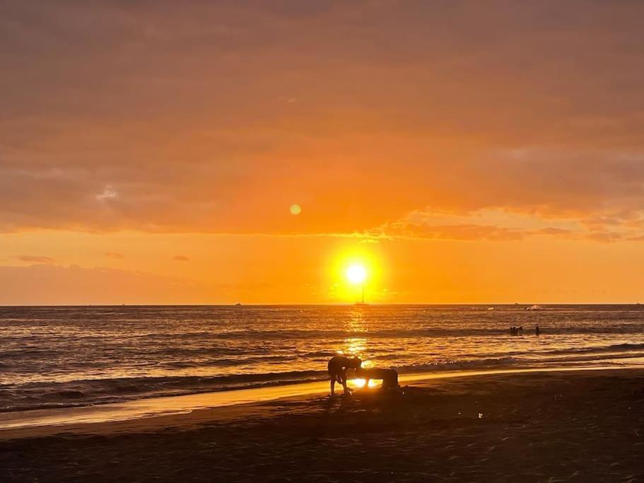 Costa Adeje, 2 Bedrooms * Costa Adeje (Tenerife)