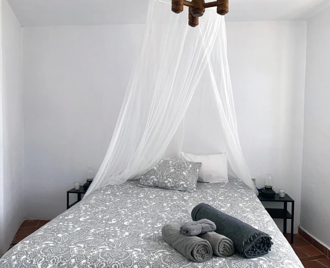 Canaria Hombre De Palo Country house *