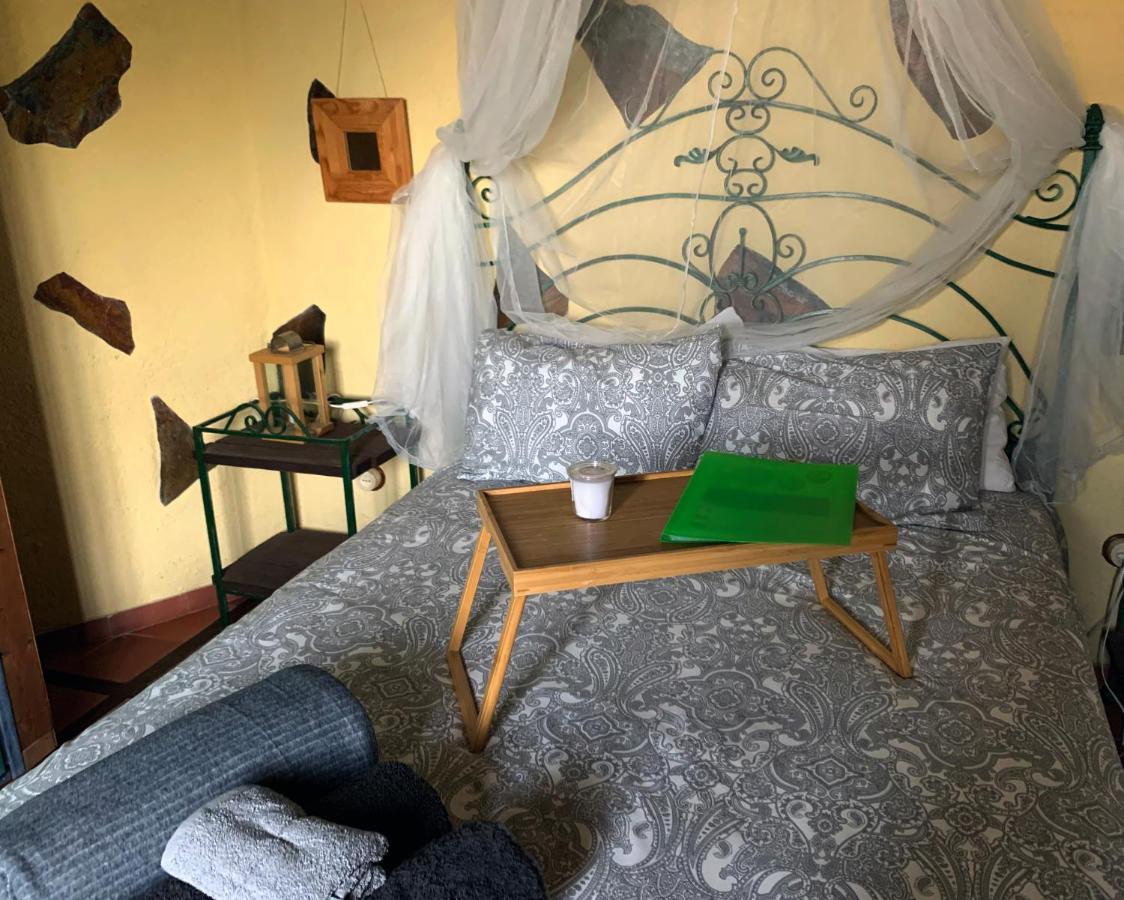Canaria Hombre De Palo Country house