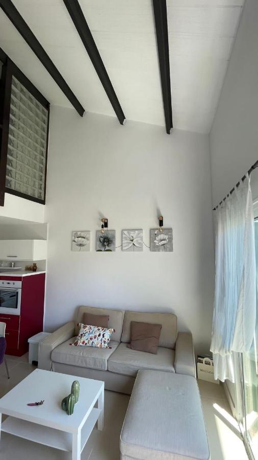 Apartment Casa Lola