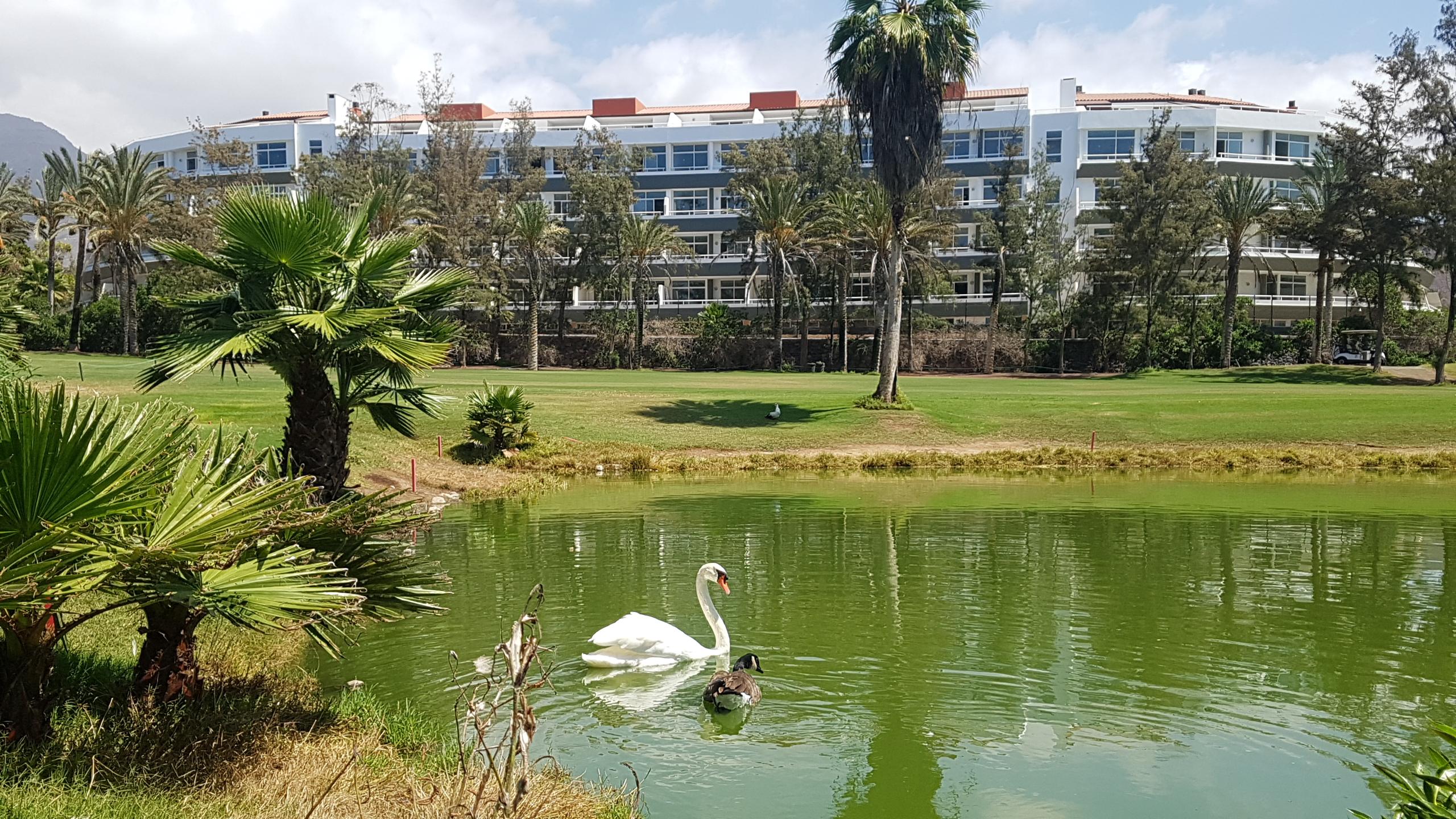 Gara Golf &