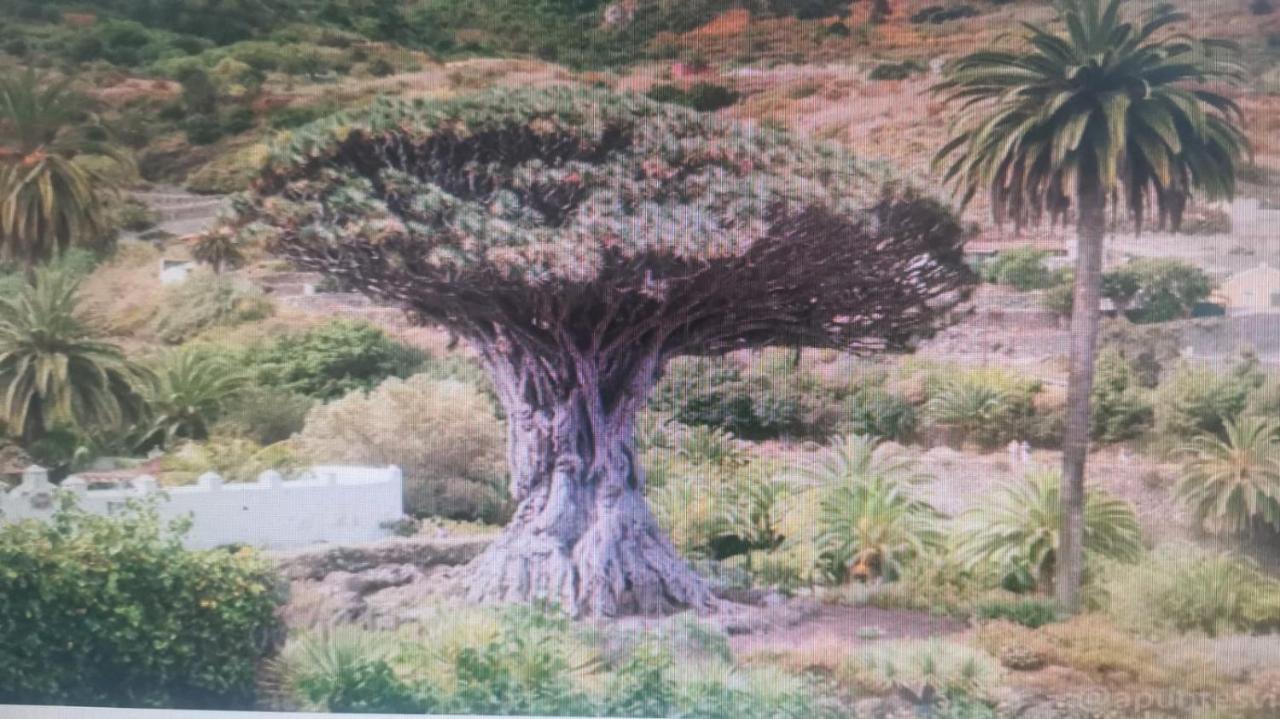Tradicional Casa Canaria Con Piscina Y Vistas Al Teide Holiday home Icod De Los Vinos