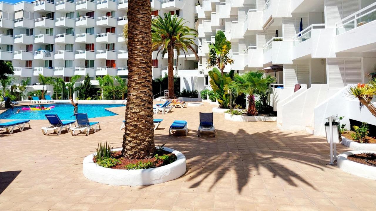 Under The Palm Apartment