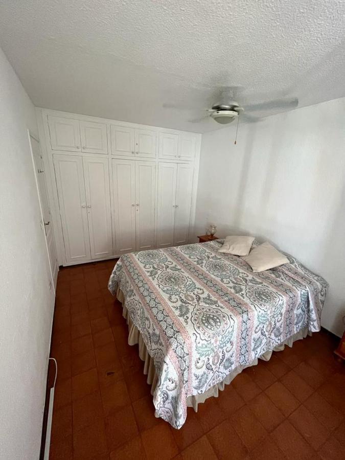 Apartment Jacaranda, Where Calm And Joy Go Hand In Hand