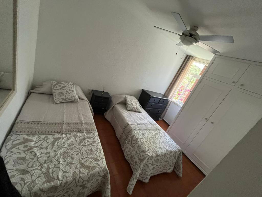 Jacaranda, Where Calm And Joy Go Hand In Hand Apartment Playa de las Americas (Tenerife)