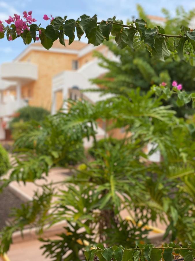 Appartement Golden Ocean View & Pool Los Cristianos (Tenerife)