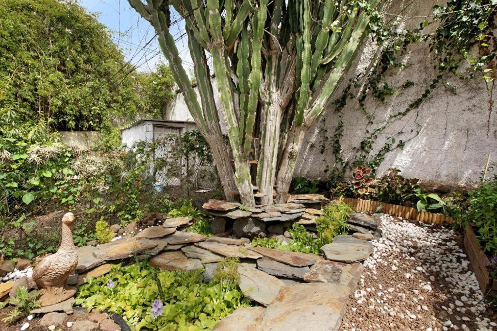Casa Con Jardin * Tacoronte