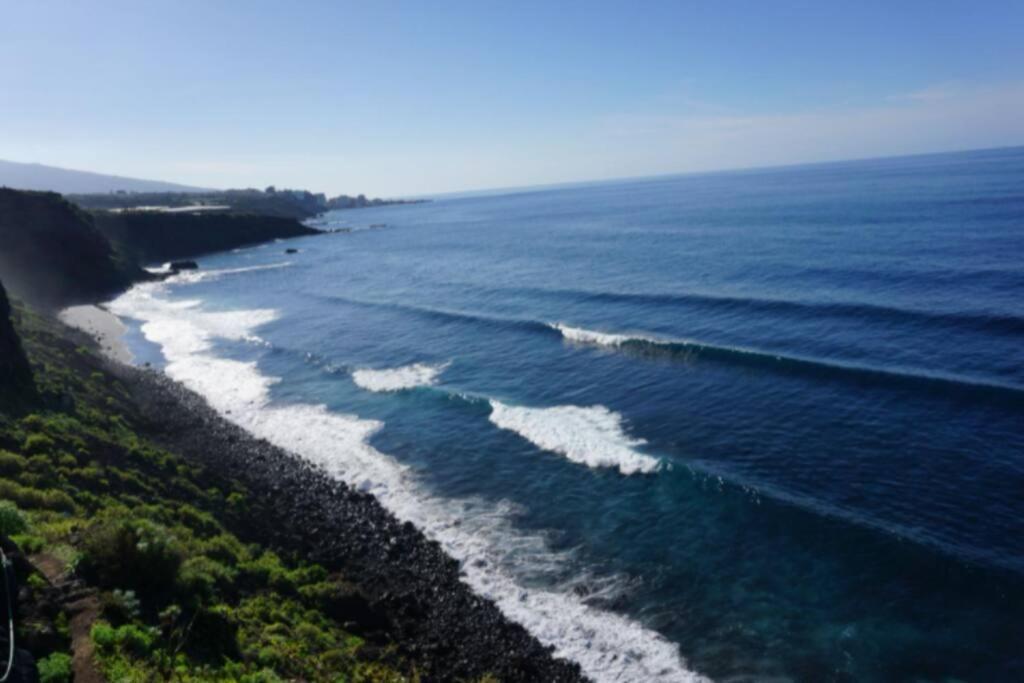 Tantulia Ficus Loft Apartamento La Laguna (Tenerife)