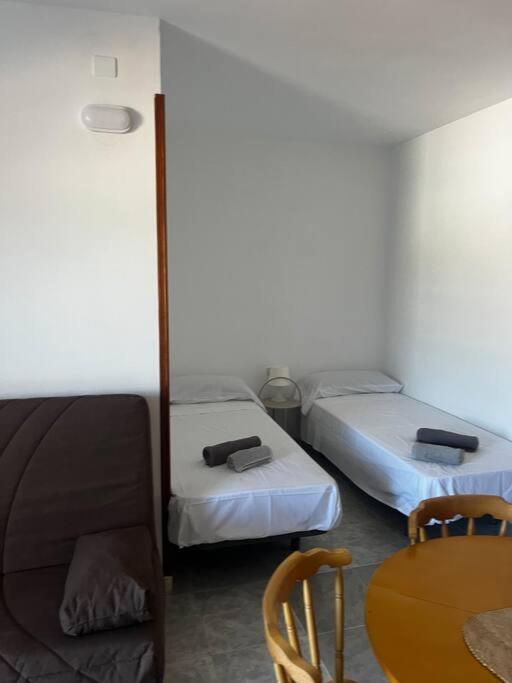 Tantulia Ficus Loft Apartamento