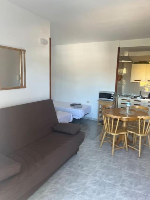 Tantulia Ficus Loft