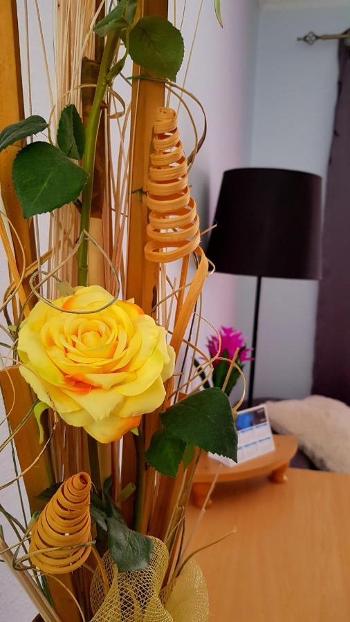 Apartamento Warm, Cozy And Comfortable *