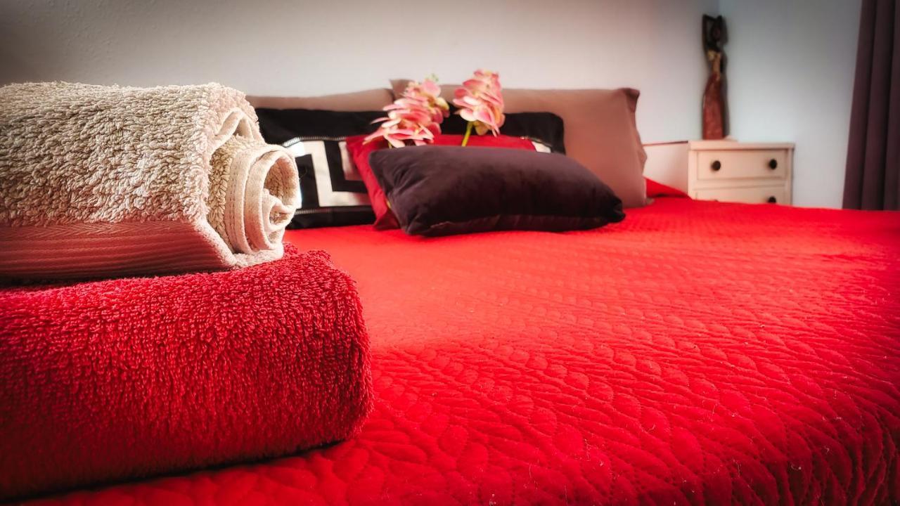 Warm, Cozy And Comfortable Apartamento