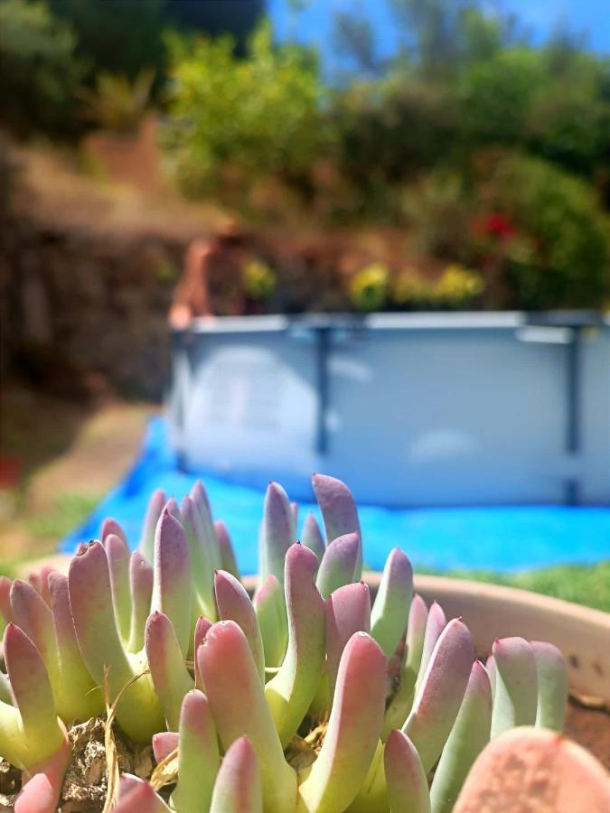 La Casita De La Esperanza Hébergement de vacances *