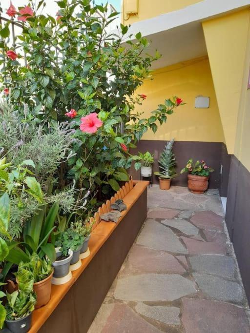 El Rincon De Nina Holiday home