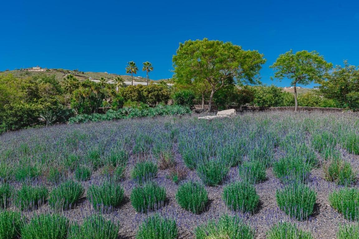 The Nest Tenerife Villa