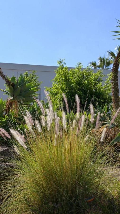 The Nest Tenerife *