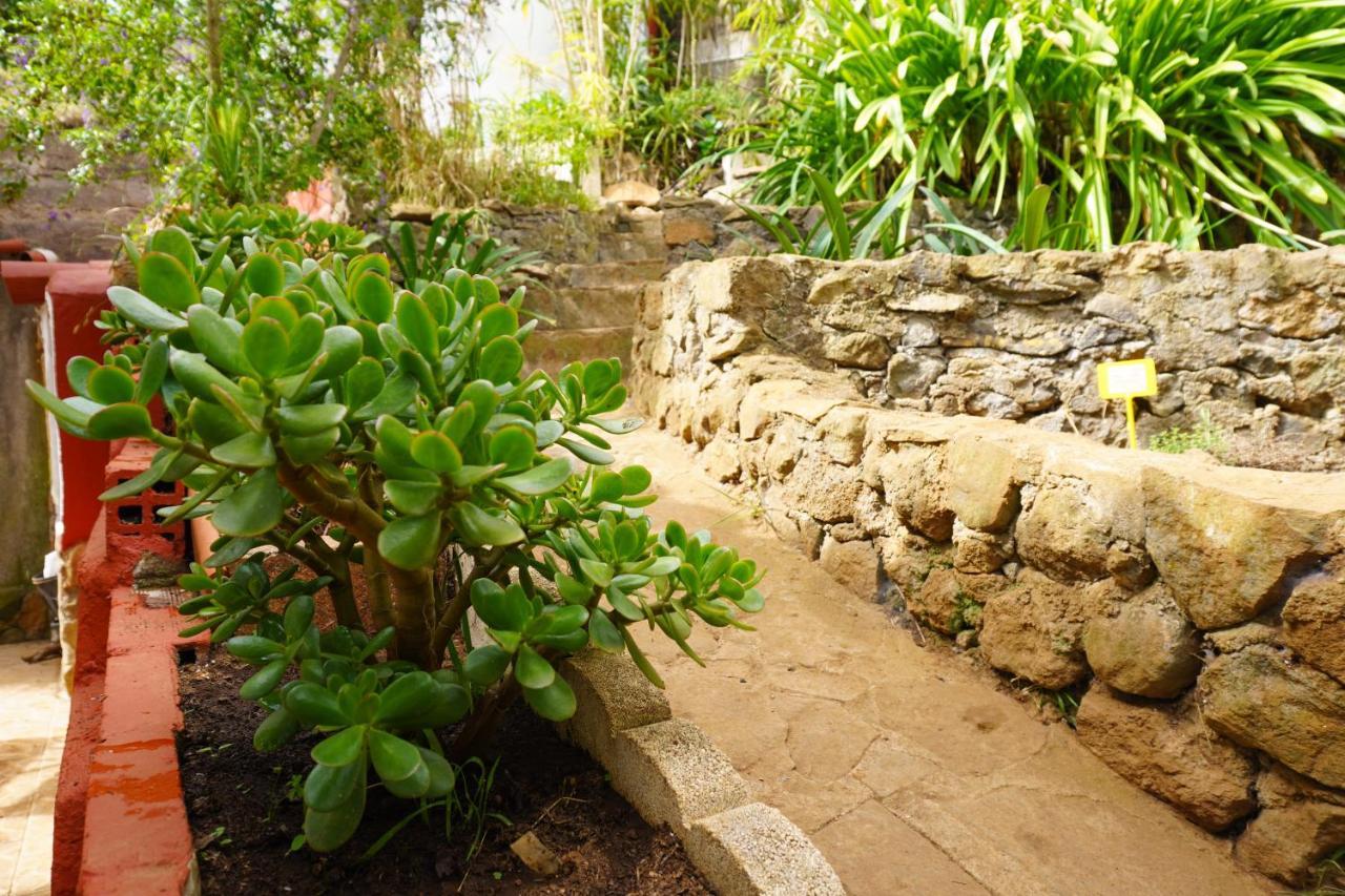 Eco House In Unique Environment Hébergement de vacances