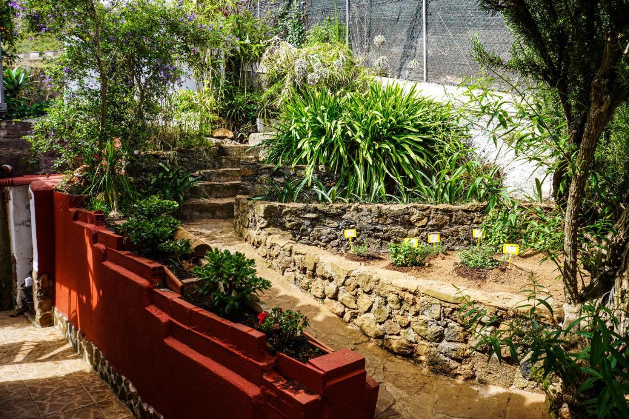 Eco House In Unique Environment Hébergement de vacances *