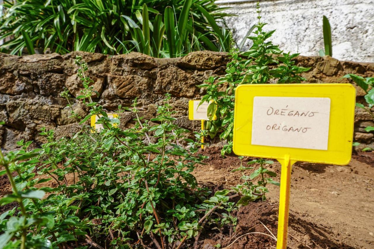 Hébergement de vacances Eco House In Unique Environment La Orotava