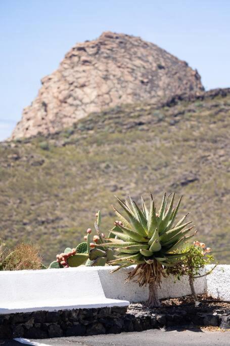 Apartment El Retamar, Naturaleza Y Paisajes *