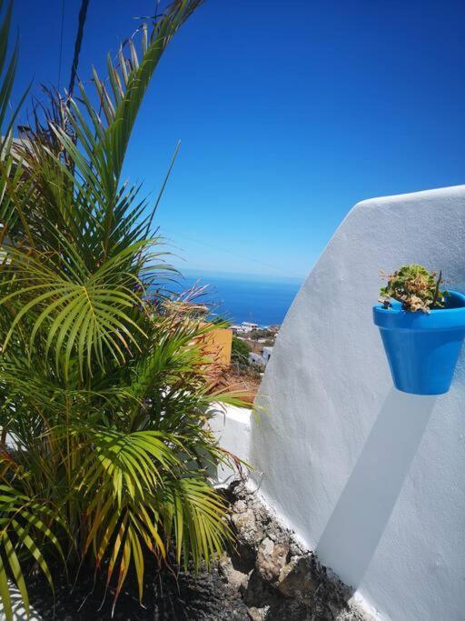 Сasa de vacaciones Con Piscina Climatizada Icod De Los Vinos